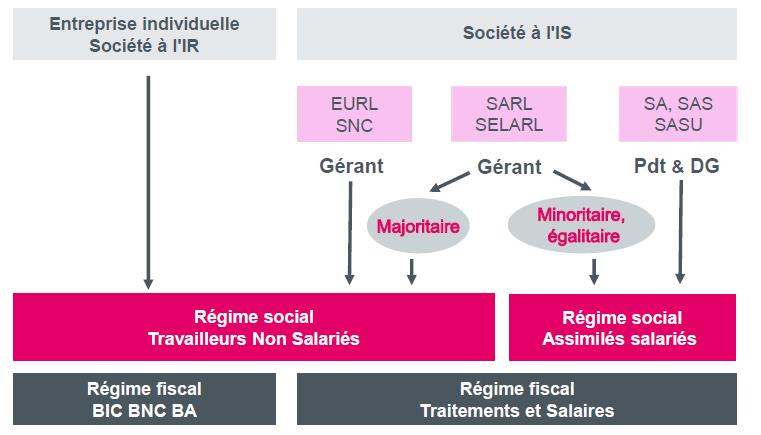 Statut du dirigeant salarié ou TNS Maison des créateurs d'entreprise Suzanne Michaux