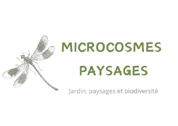 Candice Himpe Microcosmes Paysages